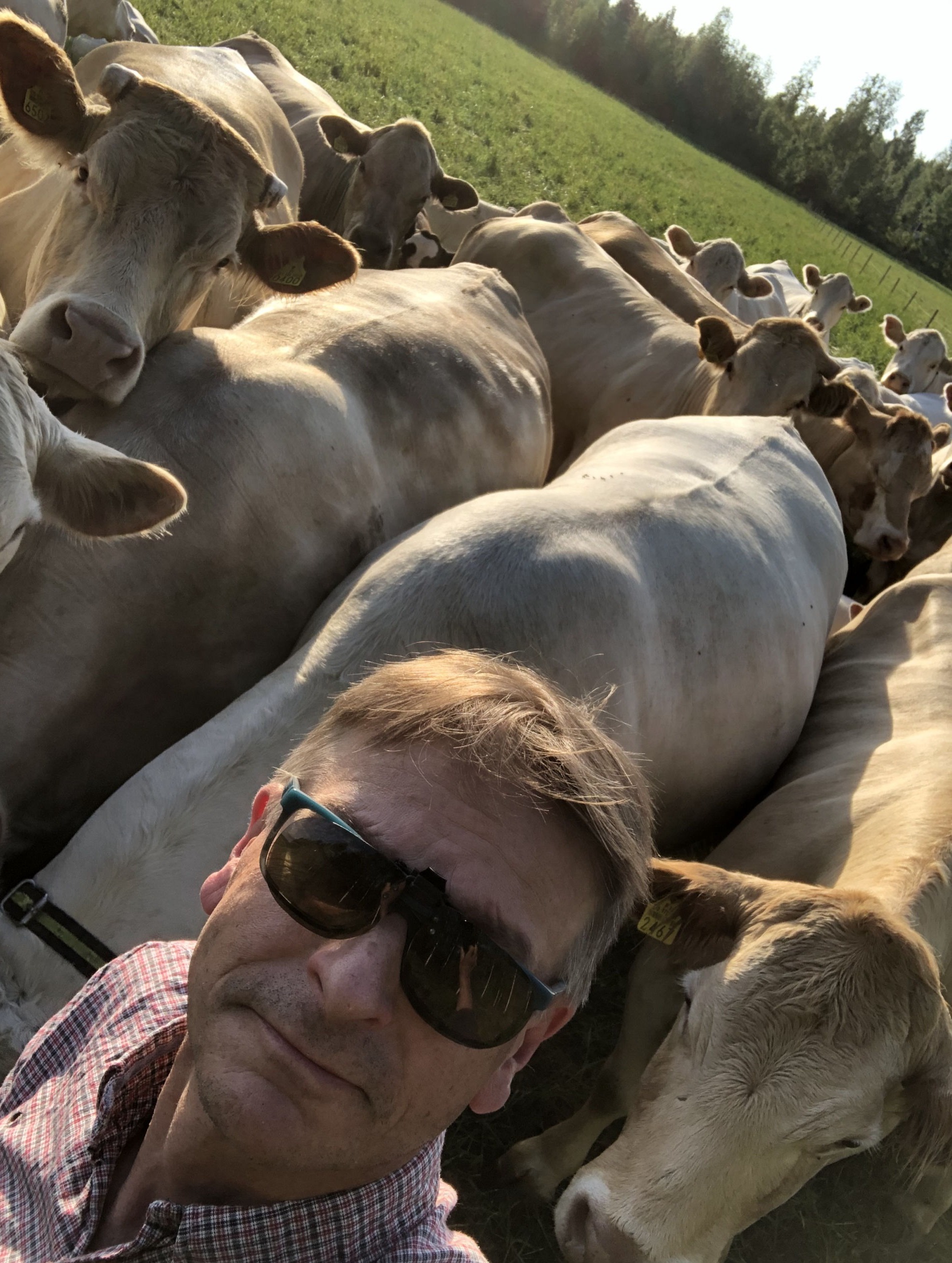 Automaatti-Anssi laidunryhmän kanssa